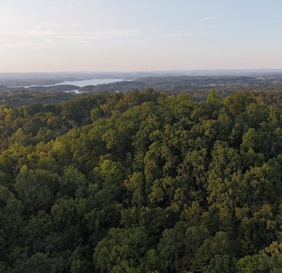 Aerial view over the wooded ridge toward Douglas Lake at golden hour